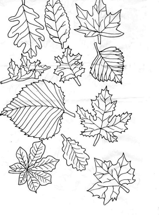 Plansa de colorat cu Toamna 9 170